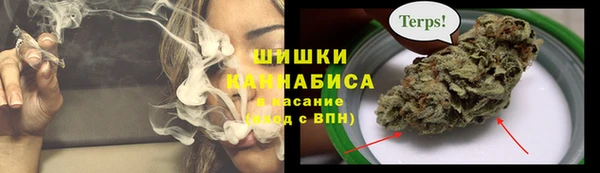 молекула духа Алексеевка