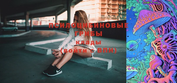 молекула духа Алексеевка