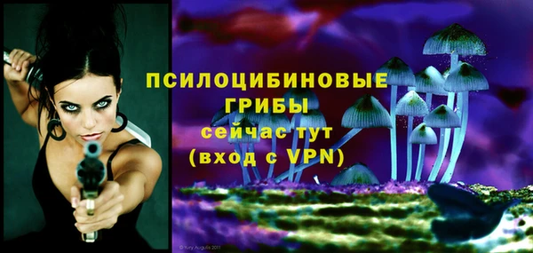 молекула духа Алексеевка