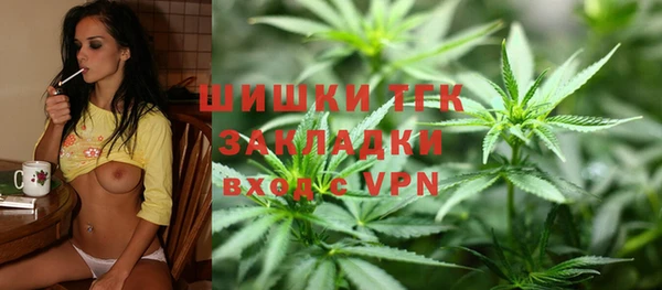 крисы Алзамай