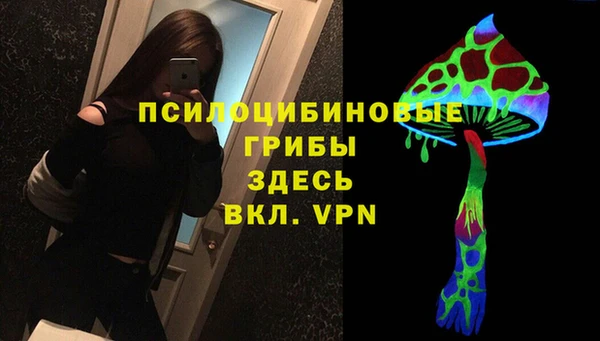 ALPHA PVP Алексин