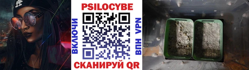 Псилоцибиновые грибы Magic Shrooms  Лобня 